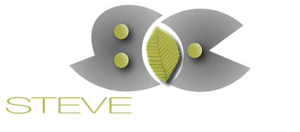 Site logo